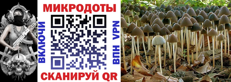 Галлюциногенные грибы Cubensis  Гремячинск 